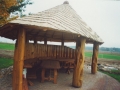 antanas_ziukas_vaiku_zaidimo_aikstele_h-3.5m_w-4.0m_l-6.0m_egle_azuolas_drebule_lietuva